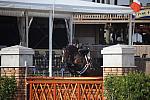 AHJF-2-17-10-0204-GrConf-Savant-MorganThomas-DDeRosaPhoto.jpg