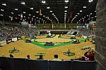 WEG3-10-6-10-Vaulting-DSC_6251-DDeRosaPhoto.JPG