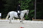 So8ths-5-4-12-Dressage-0781-KaylinMedlin-Watch-Me-Now-DDeRosaPhoto