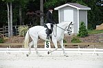 So8ths-5-4-12-Dressage-0790-KaylinMedlin-Watch-Me-Now-DDeRosaPhoto