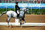 Michael_Poulin_Barcelona-146-DDeRosaPhoto.JPG