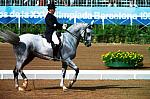 Michael_Poulin_Barcelona-147-DDeRosaPhoto.JPG