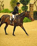 JohnFrench-USHJA-Derby-8-20-10-8643-QRnd1-CrownAffair--DDeRosaPhoto.jpg