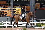 Pan Am Dressage