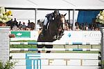 HC09-8-30-09-FTI-GP-1241-Sapphire-McLainWard-DDeRosaPhoto-ltn.jpg