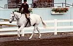 300-DevonR8-15-PeterPletcher-Geste-Flat.jpg