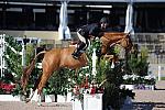 AHJF-2-11-09-752-Sunshine-PeterPletcher-1stYrA-DDeRosaPhoto