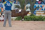 552-Horsesdaily-ToddMinikus-Pavarotti-PanAmRio-7-27-07-DeRosaPhoto_001.jpg