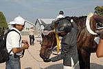 Georgina Bloomberg