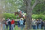 988-DorninAnneNorth-LionDisplay-Rolex-4-26-08-DeRosaPhoto.jpg