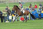 993-DorninAnneNorth-LionDisplay-Rolex-4-26-08-DeRosaPhoto.jpg