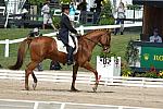 311-CorinneAshton-Dobbin-Rolex-4-25-08-DeRosaPhoto.jpg