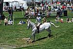 Rolex-4-26-09-1110-RingwoodCockatoo-BettinaHoy-GER-DeRosaPhoto