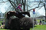 Rolex-4-26-09-1221-HeadleyBritannia-LucindaFredericks-AUS-DeRosaPhoto