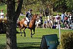 Rolex-4-26-09-158-Navigator-WilliamFox-Pitt-GBR-DeRosaPhoto.jpg