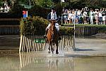 Rolex-4-26-09-170-Navigator-WilliamFox-Pitt-GBR-DeRosaPhoto.jpg