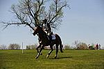 Rolex-4-26-09-669-Vaunted-AshleyAdams-DeRosaPhoto.jpg