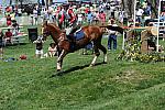 Rolex-4-26-09-929-AcapulcoJazz-BonnerCarpenter-YR-DeRosaPhoto.jpg
