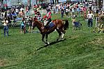 Rolex-4-26-09-932-AcapulcoJazz-BonnerCarpenter-YR-DeRosaPhoto.jpg