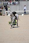 Rolex-4-26-09-659-RingwoodCockatoo-BettinaHoy-GER-DDeRosaPhoto