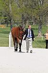 Rolex-4-21-10-0002-ODTMasterRose-OliverTownend-GBR-DDeRosaPhoto.jpg