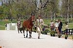 Rolex-4-21-10-0023-CoolMountain-WilliamFox-Pitt-GBR-DDeRosaPhoto.jpg