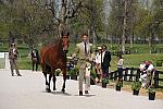 Rolex-4-21-10-0024-CoolMountain-WilliamFox-Pitt-GBR-DDeRosaPhoto.jpg