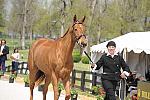 Rolex-4-21-10-0060-TheAlchemyst-DebbieRosen-USA-DDeRosaPhoto.jpg