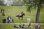 William Fox Pitt - Cool Mountain