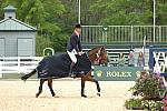 Rolex-4-25-10-3747-Awards-WilliamFoxPitt-CoolMountain-DDeRosaPhoto.jpg