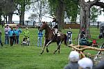 Rolex-4-28-12-XC-7496-KatieRuppel-SirDonovan-DDeRosaPhoto