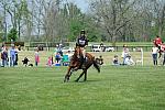Rolex-4-28-12-XC-8749-BrittanyLunney-CoolDancer-DDeRosaPhoto