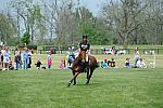Rolex-4-28-12-XC-8750-BrittanyLunney-CoolDancer-DDeRosaPhoto