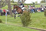 Rolex-4-27-13-XC-4082-WilliamFox-Pitt-GBR-SeacookieTSF-DDeRosaPhoto