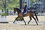Rolex-DRE-4-23-15-1219-MichaelJung-FischerrocanaFST-GER-DDeRosaPhoto