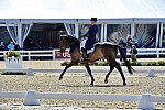 Rolex-DRE-4-23-15-1223-MichaelJung-FischerrocanaFST-GER-DDeRosaPhoto