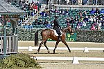 Rolex-DRE-4-23-15-1374-TimBourke-LuckaunQuality-IRL-DDeRosaPhoto