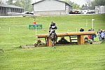 Rolex-XC-4-30-16-2087-BoydMartin-SteadyEddie-DDeRosaPhoto