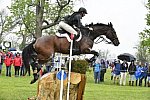 Rolex-XC-4-30-16-2545-JamesAlliiston-Parker-GBR-DDeRosaPhoto