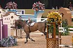 403-MeredithBeerbaum-GER-Leena-WC-4-22-07-DeRosaPhoto.jpg