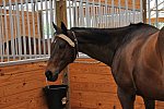 So8ths-5-4-12-2918-DDeRosaPhoto