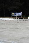 So8ths-5-4-12-Dressage-0975-DDeRosaPhoto