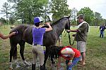 So8ths2-5-5-12-XCDay-3833-DDeRosaPhoto