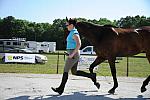 So8ths-5-3-12-Education-9905-DDeRosaPhoto