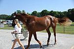 So8ths-5-3-12-Education-9954-DDeRosaPhoto