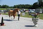 So8ths-5-3-12-Education-9964-DDeRosaPhoto