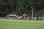 So8ths-5-5-12-XCDay-3723-SarahZimmer-MardiGras-DDeRosaPhoto