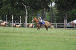 So8ths-5-5-12-XCDay-3745-SarahZimmer-MardiGras-DDeRosaPhoto