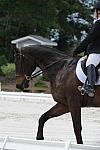 So8ths-5-4-12-Dressage-1298-SydneyParks-RunninAMuck-DDeRosaPhoto