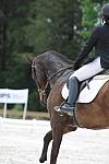 So8ths-5-4-12-Dressage-1312-SydneyParks-RunninAMuck-DDeRosaPhoto